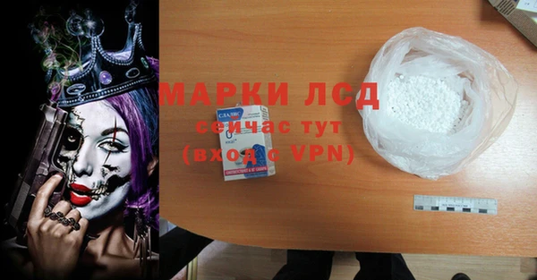 стаф Баксан