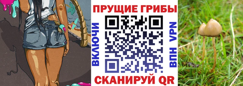 Псилоцибиновые грибы MAGIC MUSHROOMS наркота Купино