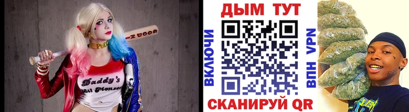где найти Купино Канабис OG Kush